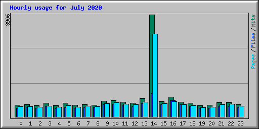 Hourly usage for July 2020