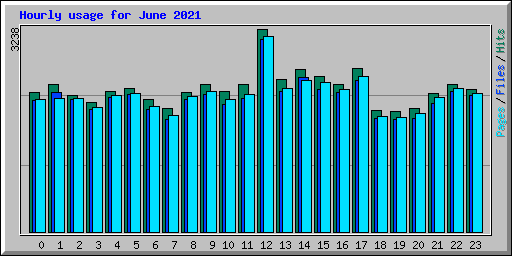 Hourly usage for June 2021