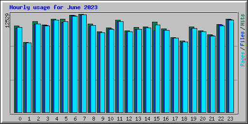 Hourly usage for June 2023