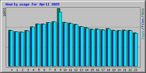 Hourly usage for April 2025