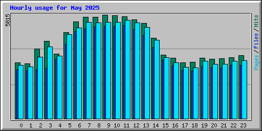 Hourly usage for May 2025