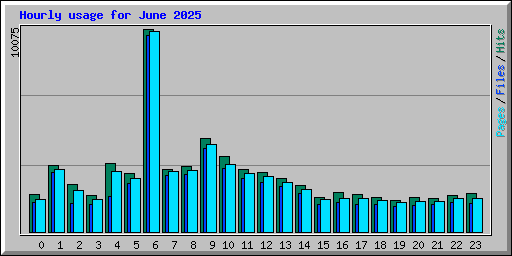 Hourly usage for June 2025