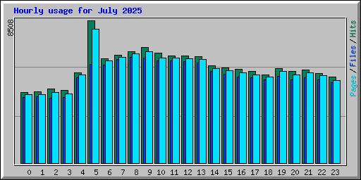 Hourly usage for July 2025