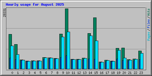 Hourly usage for August 2025