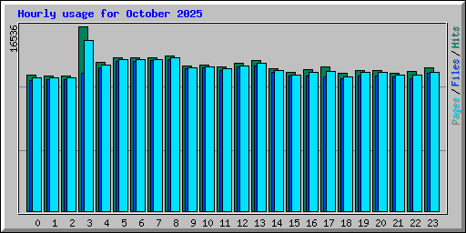 Hourly usage for October 2025