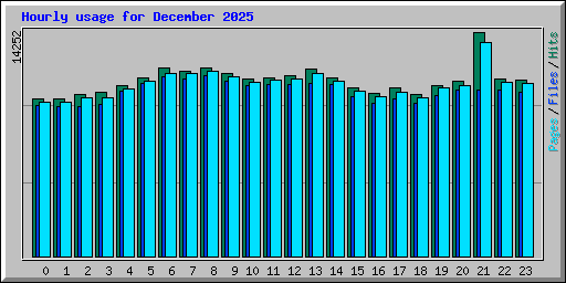 Hourly usage for December 2025