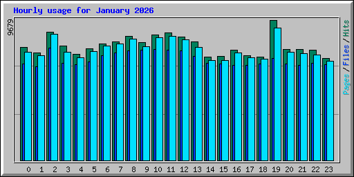Hourly usage for January 2026