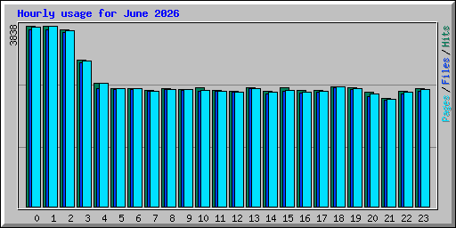 Hourly usage for June 2026