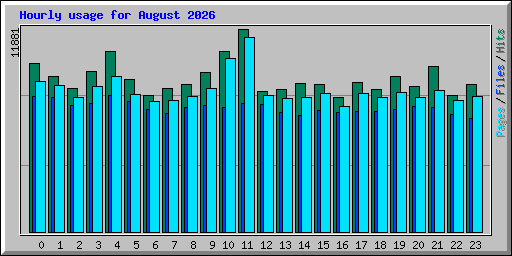 Hourly usage for August 2026